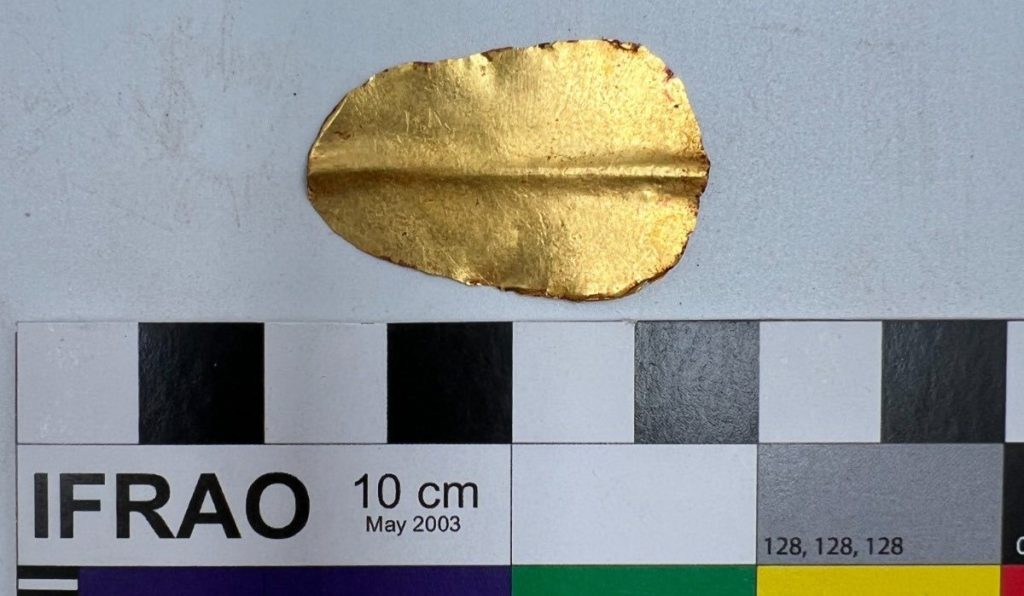 Archaeologists have discovered an ancient mummy with a passage from Homer's Iliad hidden inside its abdomen - a first in the history of Egyptian burial practices.