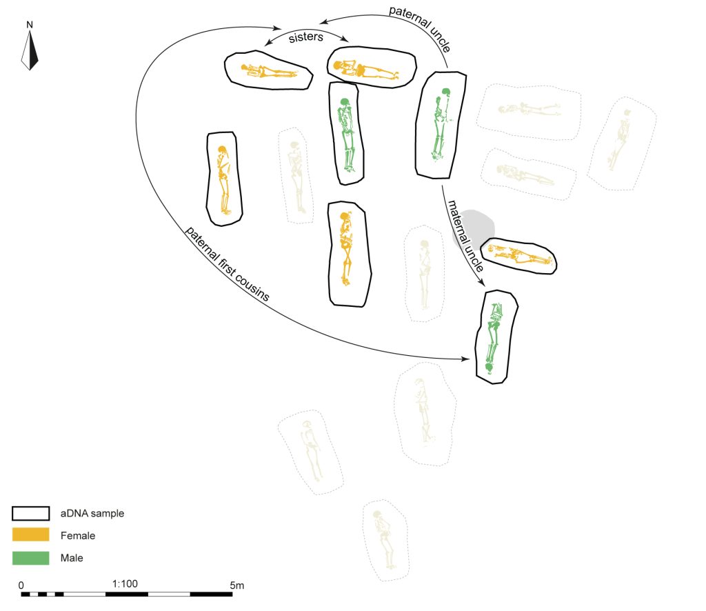 Ancient graves in Oxfordshire reveal two Roman-era families buried together, with DNA uncovering generations of relatives and offering rare insight into life in Roman Britain.