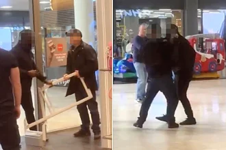 An enraged shoplifter smashed security scanners and brawled with a guard at a Newcastle TK Maxx store in shocking footage that racked up thousands of views online.