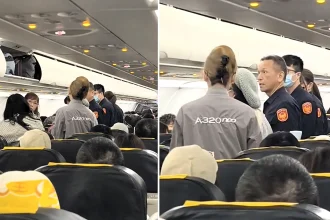 A 71-year-old passenger was permanently banned from Tigerair Taiwan after allegedly slapping a flight attendant who accidentally bumped into her during a flight's descent.