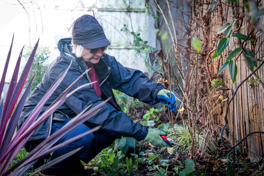 Gardening experts reveal simple money-saving hacks to transform your garden this spring, from £10 sheep's wool fertiliser to growing your own herbs for less than £1.