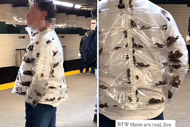 A man stunned commuters by wearing a transparent jacket filled with live cockroaches on the New York City subway. The bizarre video has been viewed 2.6 million times online.