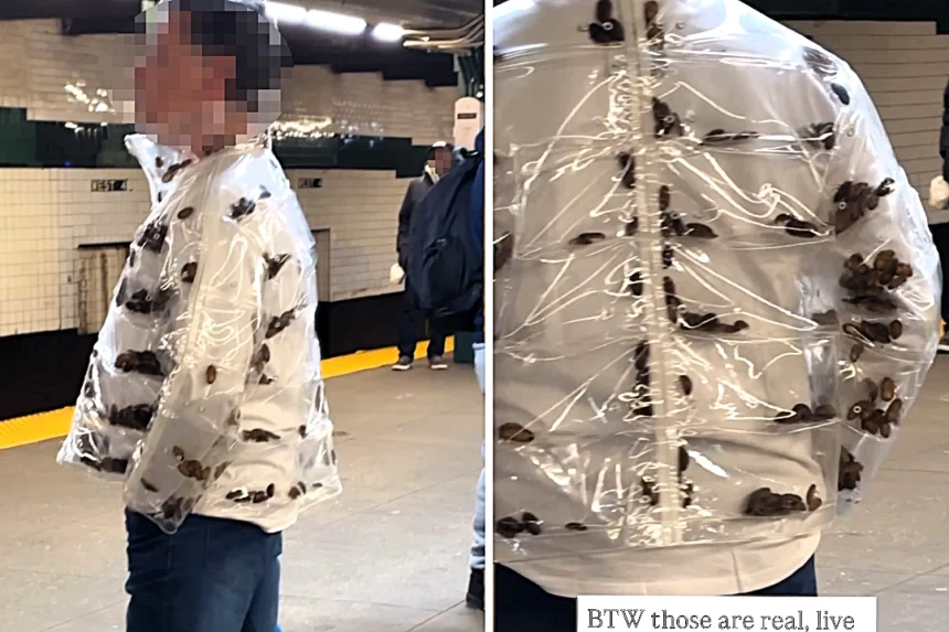 A man stunned commuters by wearing a transparent jacket filled with live cockroaches on the New York City subway. The bizarre video has been viewed 2.6 million times online.
