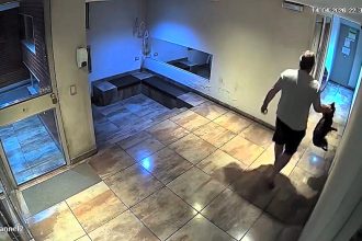A man was caught on CCTV grabbing his stepdaughter's dog and slamming it to the floor. Gonzalo Calderon has been arrested and charged with animal abuse and cruelty in Argentina.