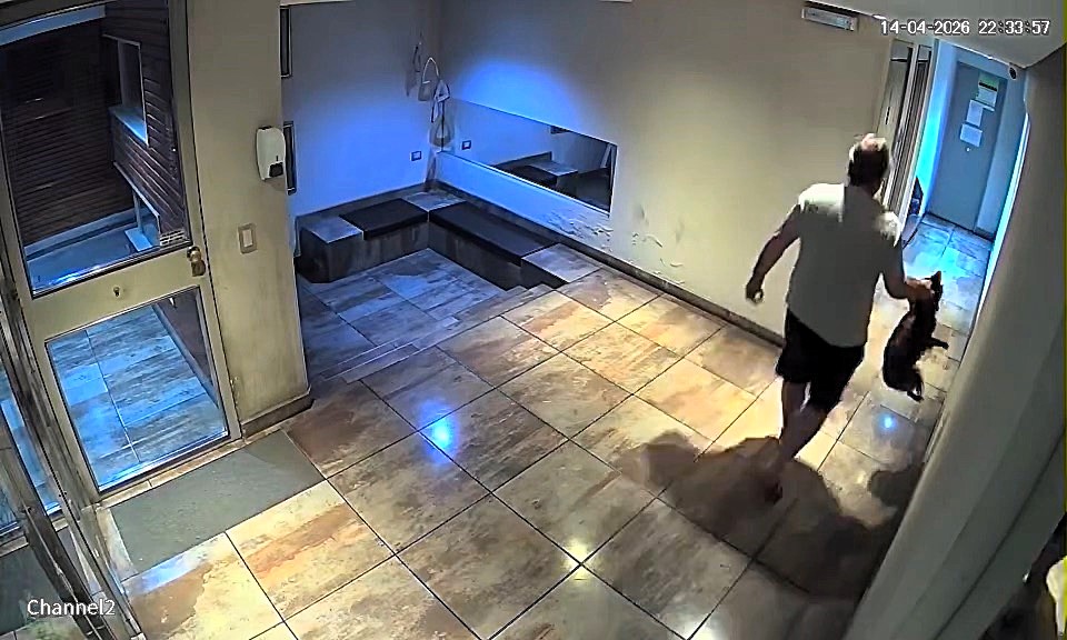 A man was caught on CCTV grabbing his stepdaughter's dog and slamming it to the floor. Gonzalo Calderon has been arrested and charged with animal abuse and cruelty in Argentina.