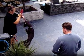 A petsitter and her partner were caught on camera kicking, dragging and screaming at two dogs they charged £1,400 to care for, while fully aware they were being filmed.