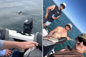 Four fishermen had a terrifying close encounter when a five-metre great white shark circled their tiny boat three times just 2km from shore in South Australia.