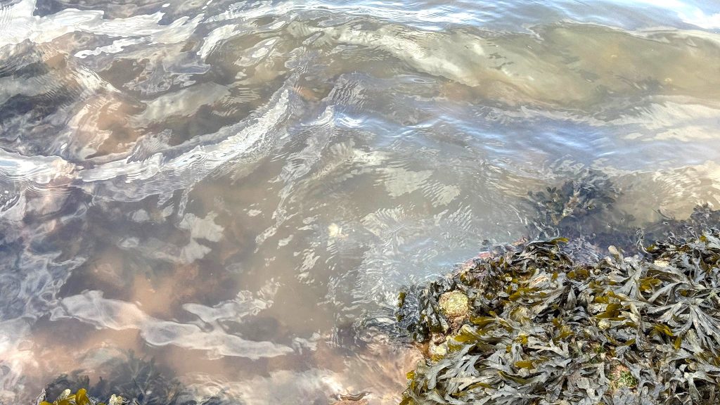 Furious locals have blasted South West Water after raw sewage with floating toilet paper polluted a popular Devon beach for weeks, forcing its closure over the Easter holidays.
