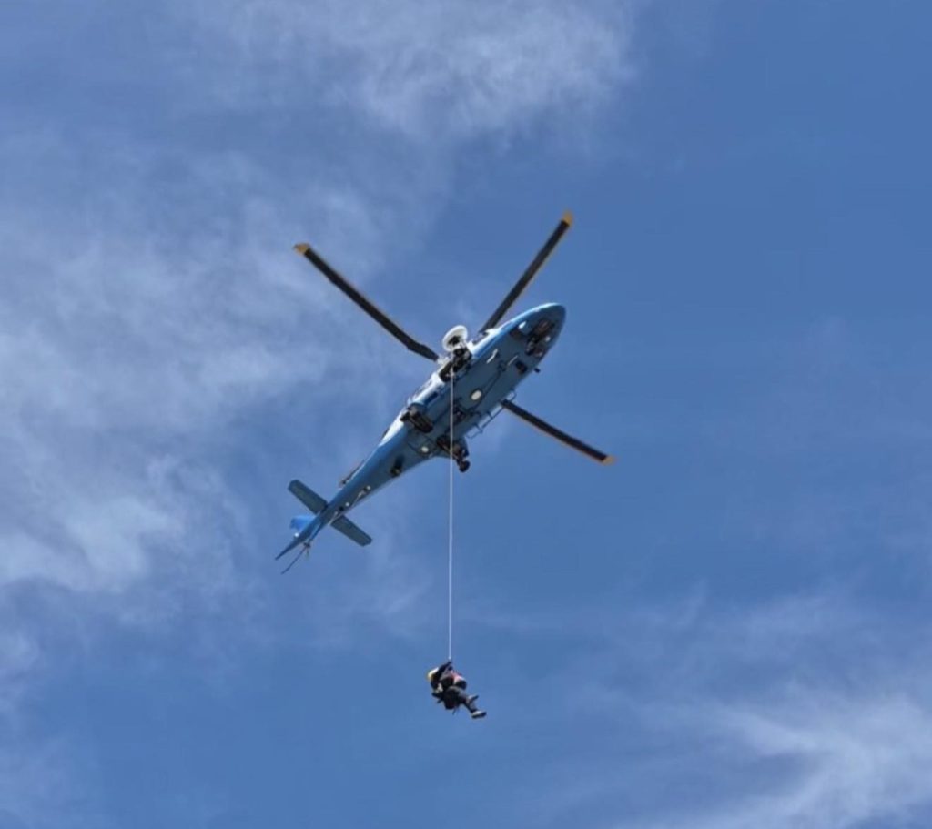 A hiker is in critical condition after suffering over 100 stings from aggressive “killer bees”, prompting a dramatic helicopter rescue near an Arizona mountain summit.