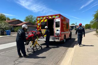 A hiker is in critical condition after suffering over 100 stings from aggressive “killer bees”, prompting a dramatic helicopter rescue near an Arizona mountain summit.