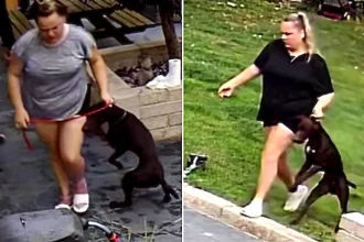 A couple returned from holiday to discover their trusted petsitter had been kicking and screaming at their dogs, with security footage prompting an RSPCA prosecution and animal ban.