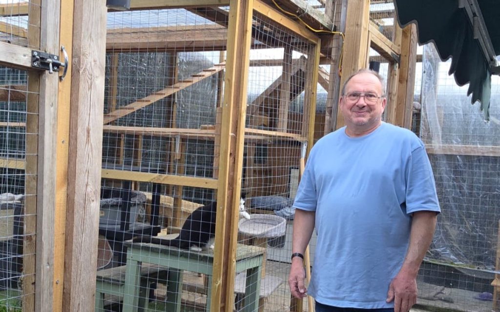 Five newborn kittens were found in a crusher on a landfill site just before it was switched back on. Workers spotted the tiny cats whose eyes had not yet opened and saved them.
