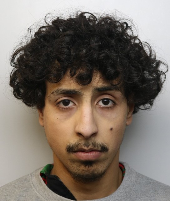 A serial sex pest who exposed himself to multiple women on the London Underground, then boasted about "taking the L" when caught, has been jailed for 14 months.