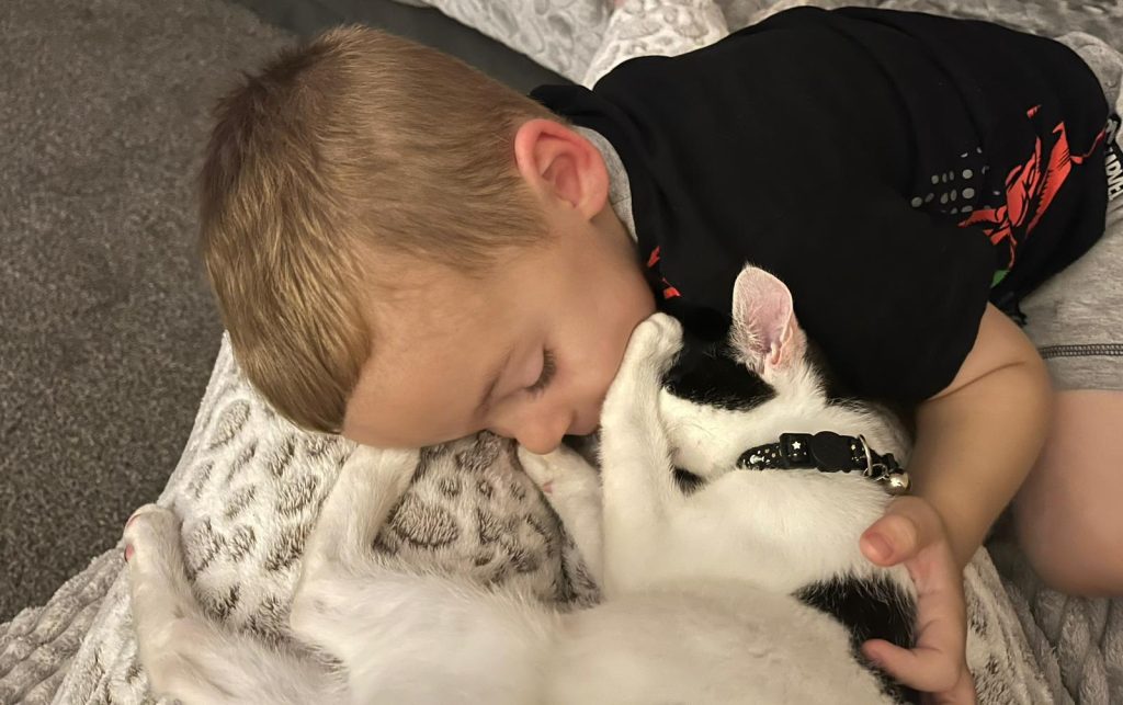 Four-year-old Finley's brain tumour was dismissed as iron deficiency before emergency surgery saved his life - mum Courtney shares their heartbreaking hospital journey.