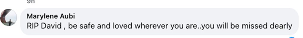 Social media comment on the post of Paranormal influencer and New York Times bestselling author David Wilcock has died by suicide aged 53 - days after hinting at personal struggles in a post to his followers.