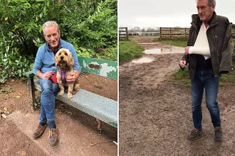 Retired grandad Martin Dandridge was beaten with a hockey stick while walking his dog. Top racehorse trainer Evan Williams has now been jailed for three years for the attack.