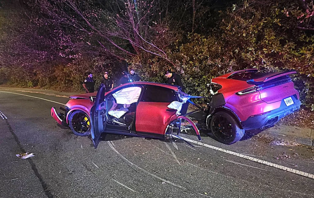 Porsche SPLIT IN HALF after horror crash into tree – but driver walks ...