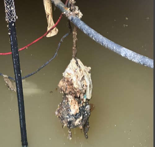 Thames Water has warned Swindon residents after flushed condoms blocked sewage pumps on a housing estate, causing system failures and requiring emergency tankers to restore services.