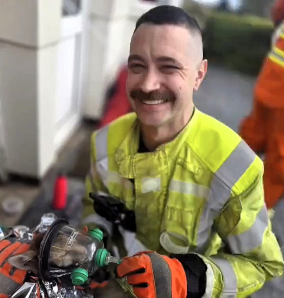 Rescuers break through garage wall to save three trapped fox cubs in Leicester - one needed oxygen therapy via a specialist small animal mask before being handed to the RSPCA.