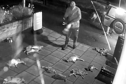 A man is on trial after CCTV allegedly caught him dumping 50 dead hares outside a Hampshire village shop in the early hours, with DNA and phone data linking him to the scene.