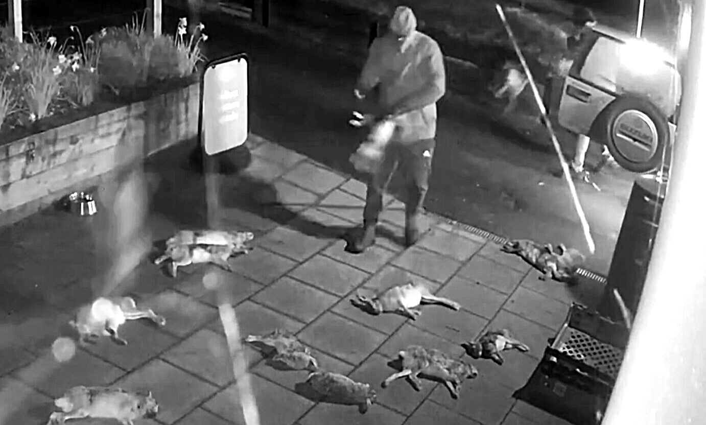A man is on trial after CCTV allegedly caught him dumping 50 dead hares outside a Hampshire village shop in the early hours, with DNA and phone data linking him to the scene.