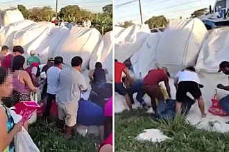 Locals swarmed a crashed lorry in Mexico and looted tons of spilled sugar as helpless police watched on. Footage shows the frenzied scramble as one witness screamed they are thieves.