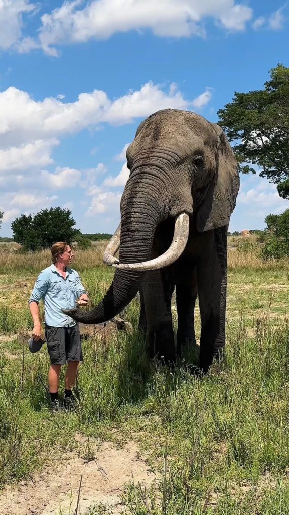 Dutch biologist Freek Vonk showed off deep crocodile bite wounds after being attacked while swimming with saltwater crocodiles in Australia during filming for a children's TV show.