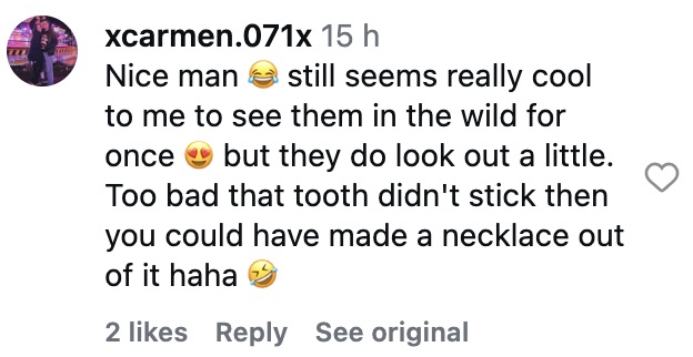 Dutch biologist Freek Vonk showed off deep crocodile bite wounds after being attacked while swimming with saltwater crocodiles in Australia during filming for a children's TV show.