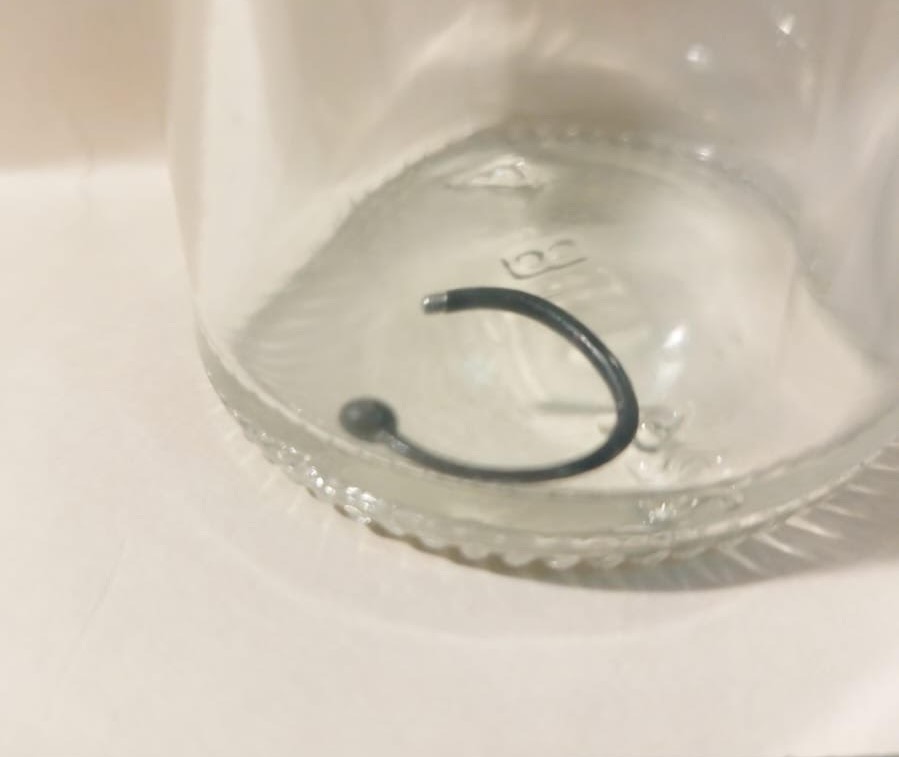 A TikToker nearly died after inhaling her nose ring, which lodged dangerously close to her aorta, leaving her facing emergency surgery after weeks of unexplained symptoms