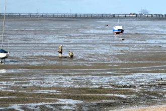 Suspected WW1 shell found 40 metres offshore at Thorpe Bay in Essex sparks emergency response - Army bomb disposal experts identify it as a QF 13-pounder field gun shell.