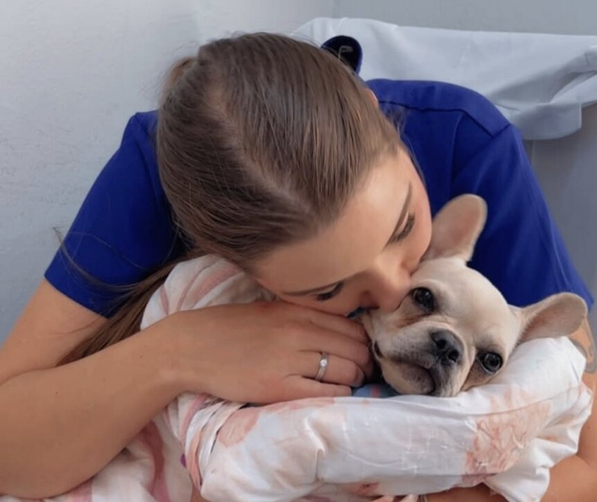 A three-month-old French bulldog swallowed 55 crack cocaine rocks, leading to her owner's arrest for drug trafficking and animal cruelty in Brazil.