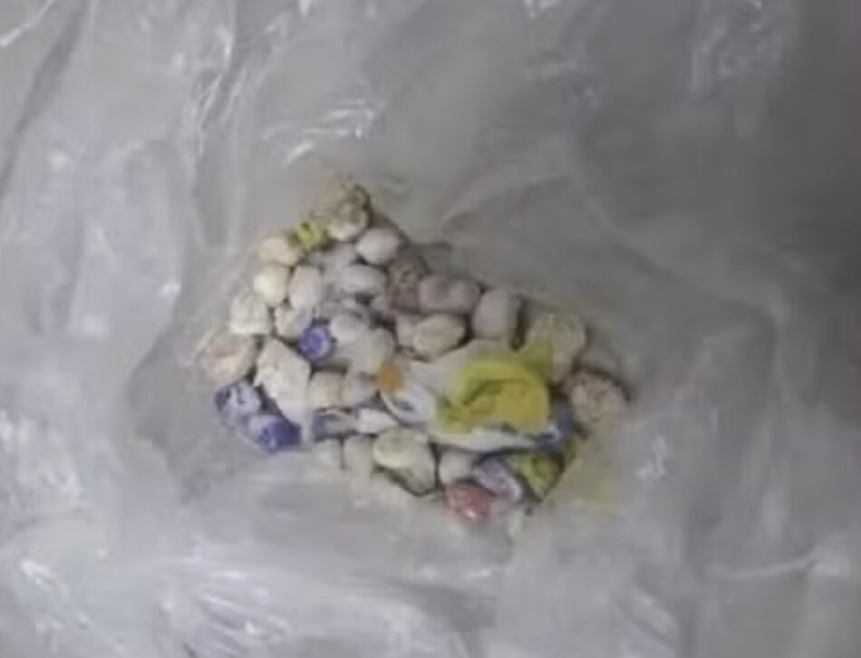 A three-month-old French bulldog swallowed 55 crack cocaine rocks, leading to her owner's arrest for drug trafficking and animal cruelty in Brazil.