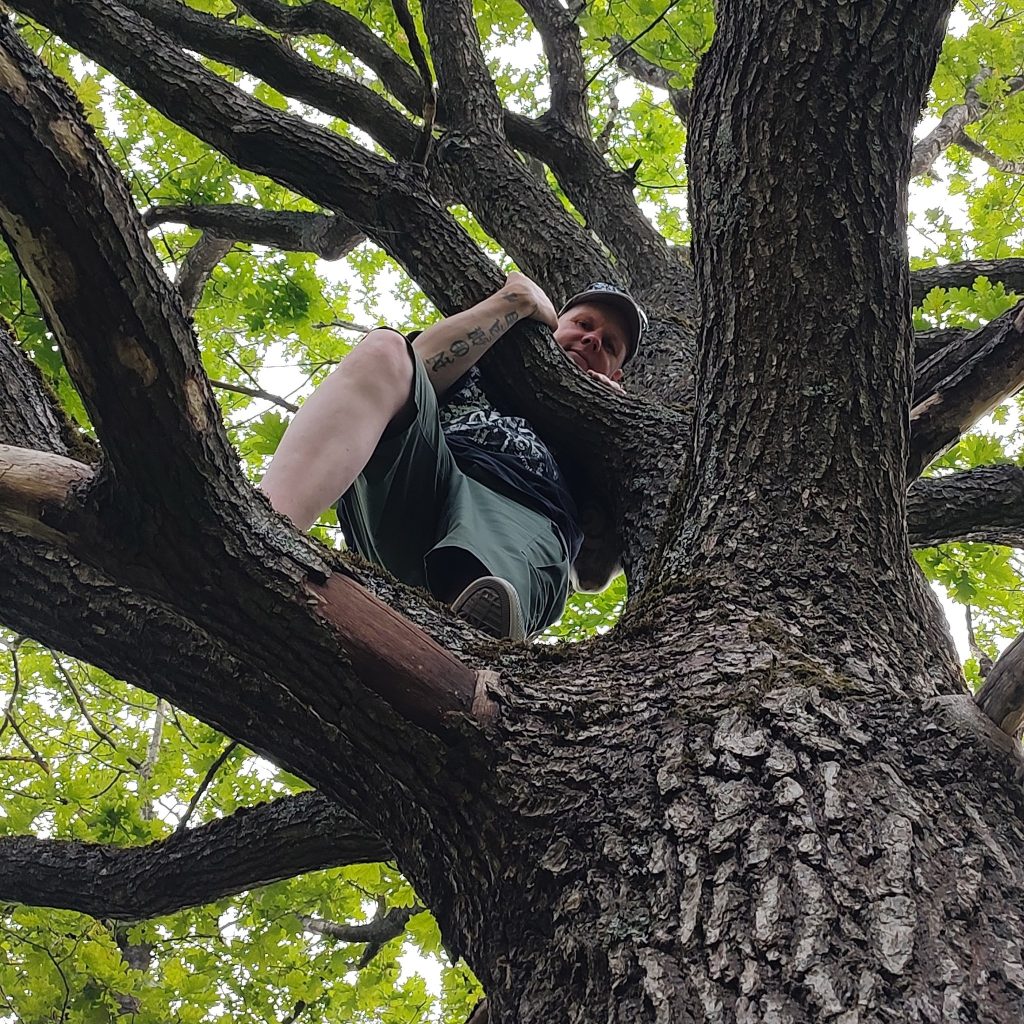 Finnish hiking influencer Ali Leiniö, 49, was found dead in a remote Lapland wilderness after suffering a sudden medical episode alone during a solo skiing excursion.