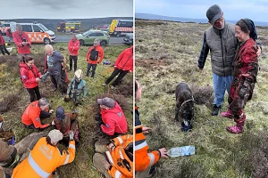 Maisy the 12-year-old Staffie cross was dramatically rescued after six hours trapped 20-feet underground in a hidden pothole on the North York Moors.