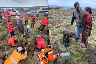 Maisy the 12-year-old Staffie cross was dramatically rescued after six hours trapped 20-feet underground in a hidden pothole on the North York Moors.