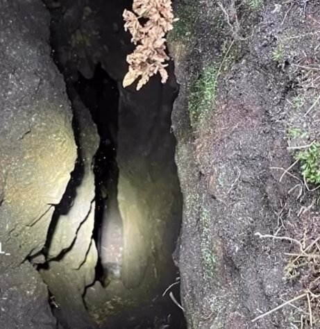 Maisy the 12-year-old Staffie cross was dramatically rescued after six hours trapped 20-feet underground in a hidden pothole on the North York Moors.