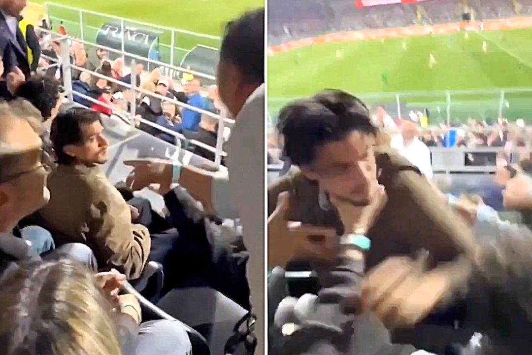 Italian Serie B chaos as Catanzaro sporting director Ciro Polito and family brawl with Palermo fans in director's box during heated promotion play-off semi-final.