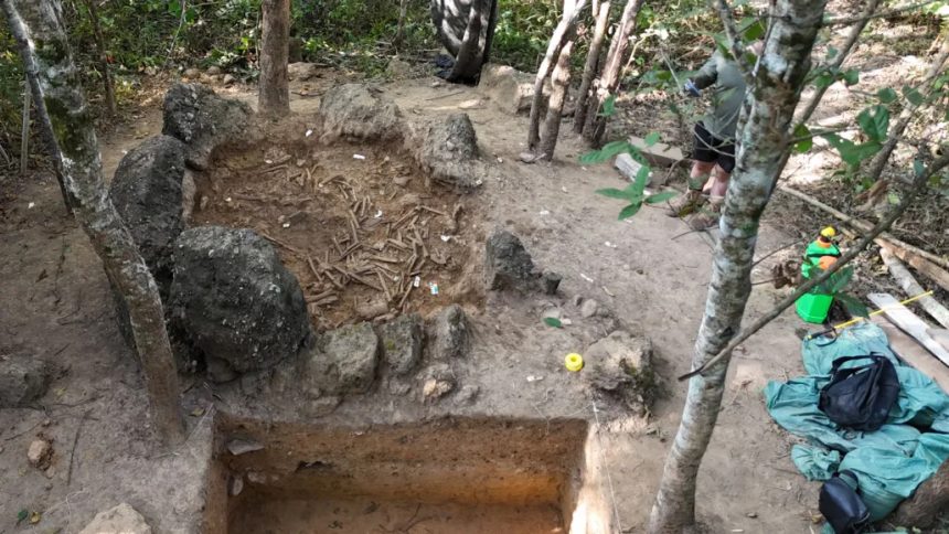 Archaeologists uncover remains of 37 people inside single giant stone jar at Plain of Jars site in Laos, revealing complex ancient communal burial rituals.