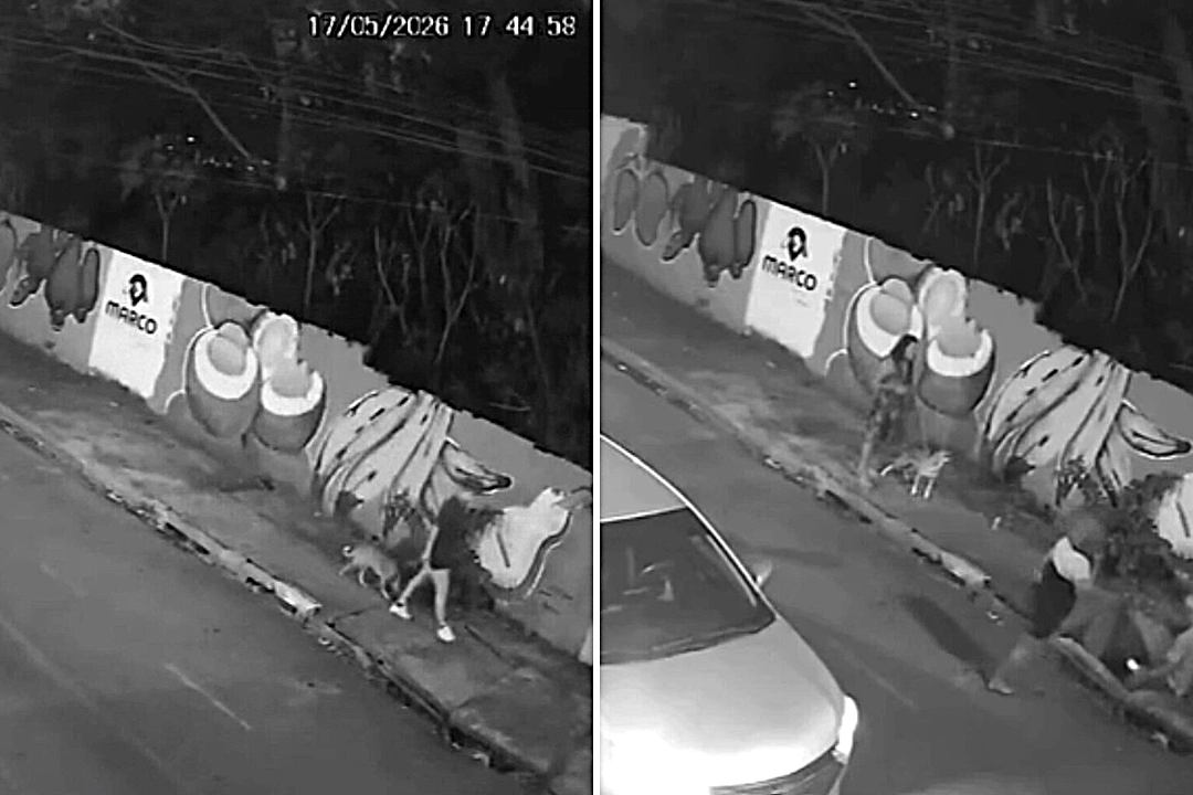 Woman, 21, plunged into a manhole as a loose cover gave way beneath her feet during a dog walk - leaving her with broken teeth and stitches.
