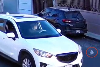 Elderly driver allegedly caught on CCTV tossing soiled adult nappies out of car window in upmarket Tijuana street, leaving locals utterly disgusted.