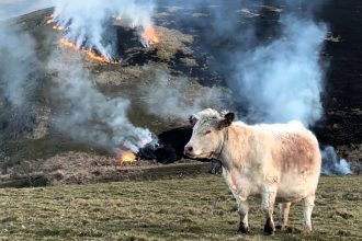 A Welsh farmer was stunned when wildfires swept across her land in the Elan Valley despite the wettest winter on record, with flames travelling five miles to reach her fields.