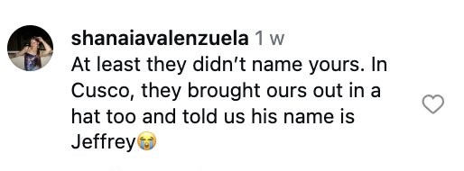 Social media comment on the post of Girl Piper Jean Thomas, 13, stunned as whole guinea pig arrives complete with tiny festive hat and claws attached during family meal in Peru - clip goes viral.