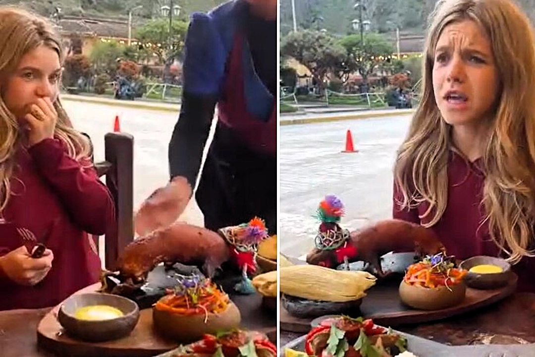 Girl Piper Jean Thomas, 13, stunned as whole guinea pig arrives complete with tiny festive hat and claws attached during family meal in Peru - clip goes viral.