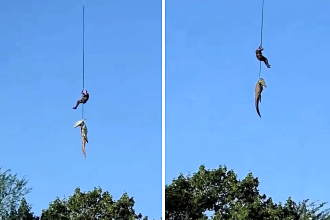 A police captain was hailed a hero after jumping into a crocodile-infested river to help retrieve suspected human remains found inside a massive reptile in South Africa.
