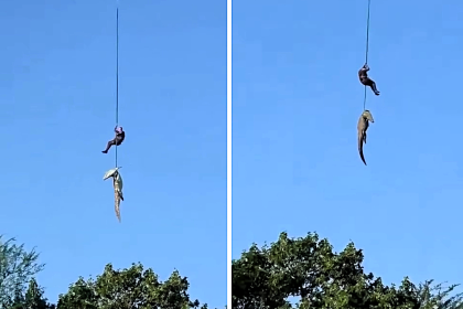 A police captain was hailed a hero after jumping into a crocodile-infested river to help retrieve suspected human remains found inside a massive reptile in South Africa.