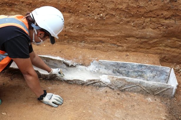 A high-status Roman woman buried in a decorated lead coffin under a Colchester hospital has been unearthed, with frankincense, rare glass vessels and jet hairpins among her grave goods.