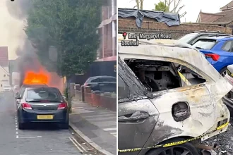 Multiple cars were set ablaze on a residential road in Southall, London, leaving burnt out wrecks with blown out windows as police cordoned off the street.