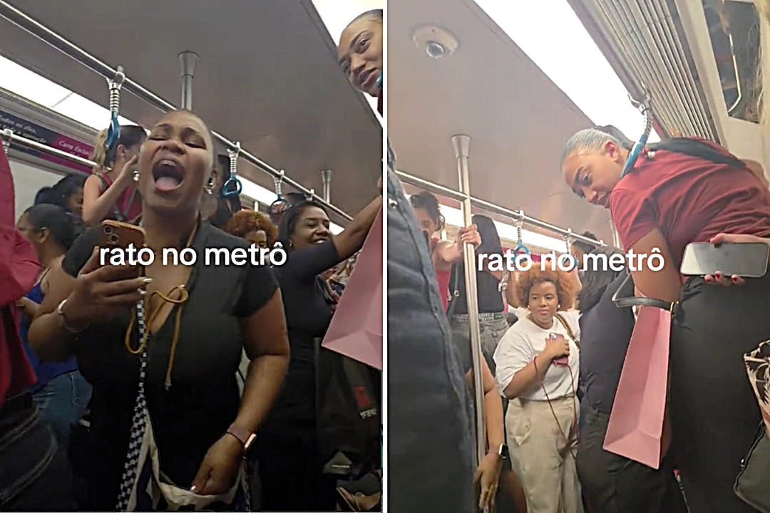 Women passengers shrieked and clambered onto seats as a rat scurried through a packed Rio de Janeiro metro carriage, with footage of the chaos racking up over one million views online.