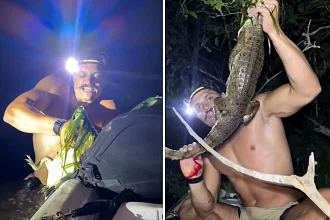 A Venezuelan influencer with nearly one million followers was bitten and struck in the face by an alligator after leaping from a boat to catch the reptile with his bare hands.