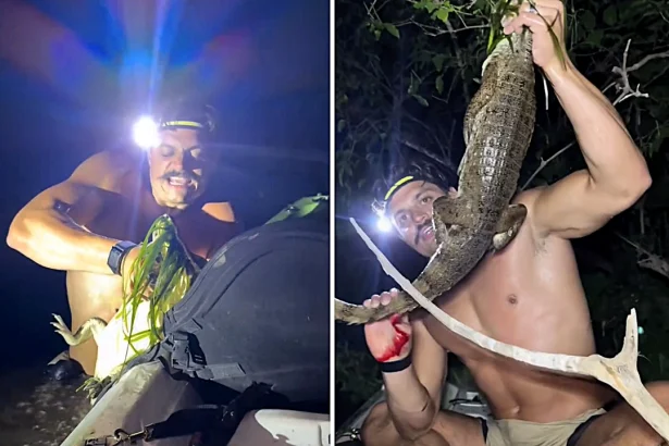 A Venezuelan influencer with nearly one million followers was bitten and struck in the face by an alligator after leaping from a boat to catch the reptile with his bare hands.